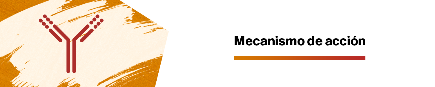 adakveo-header-mecanismo-de-accion_1500x300